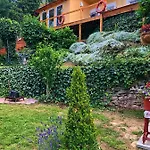 Borostyan تيهاني
