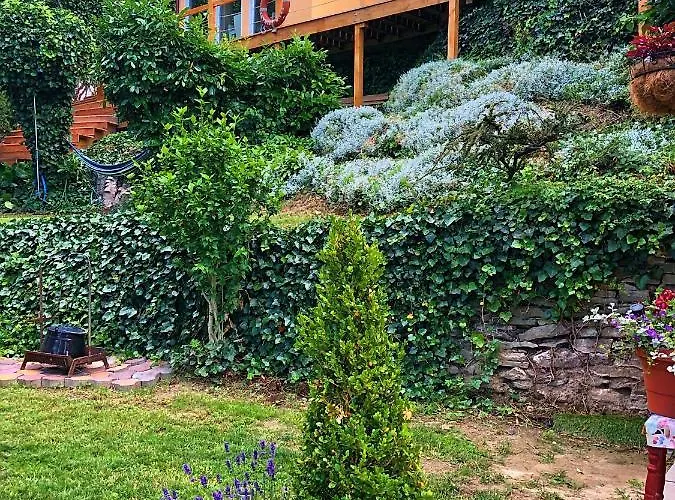 Borostyan טיהאני